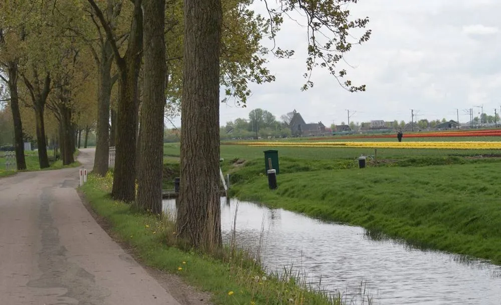 Zuidermeer: Zuidermeer nl road